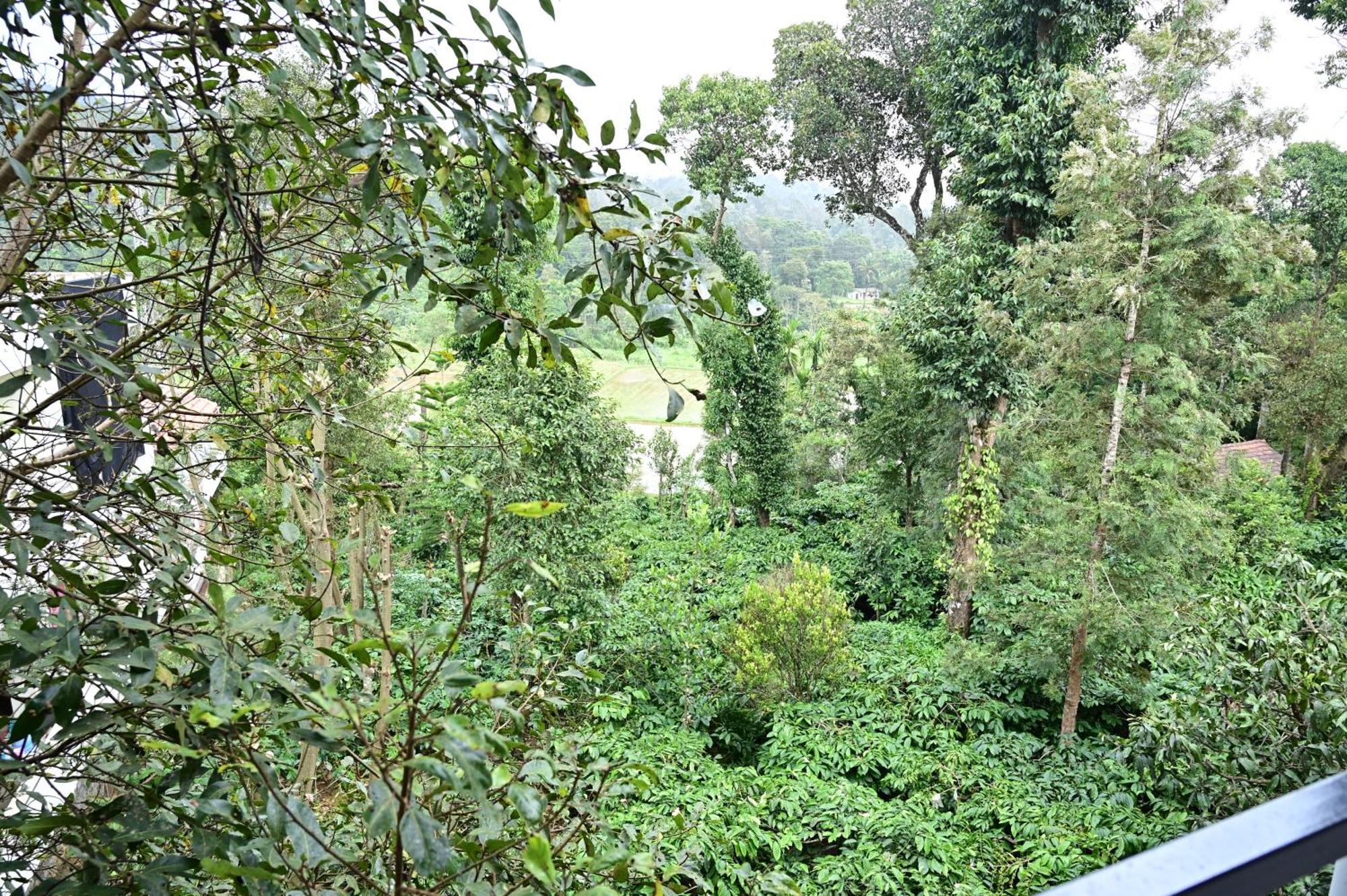 Grand Misty Heaven Villa Madikeri Eksteriør billede